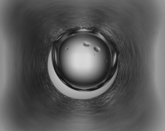 X0000087371298200704201220