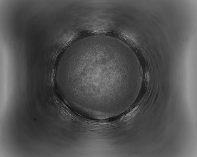 X0000087371300200704201221