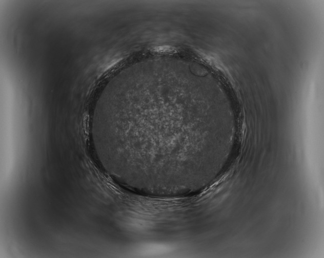 X0000087371301200704201221