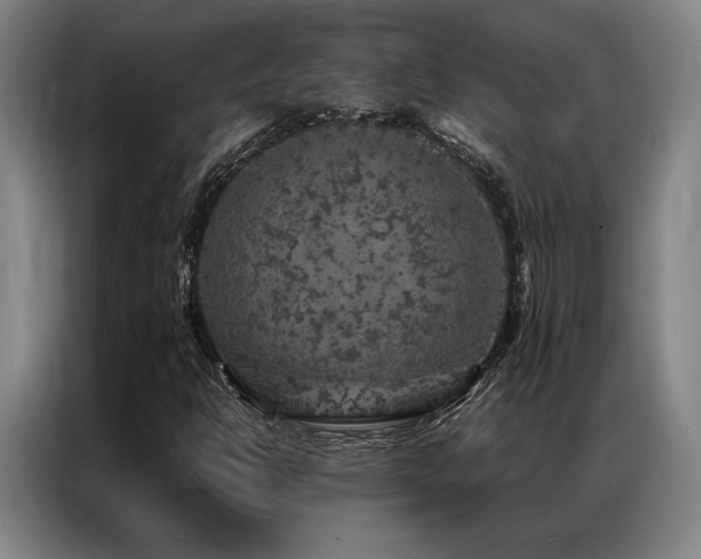 X0000087371302200704201221