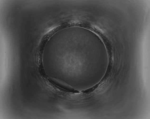 X0000087371303200704201221