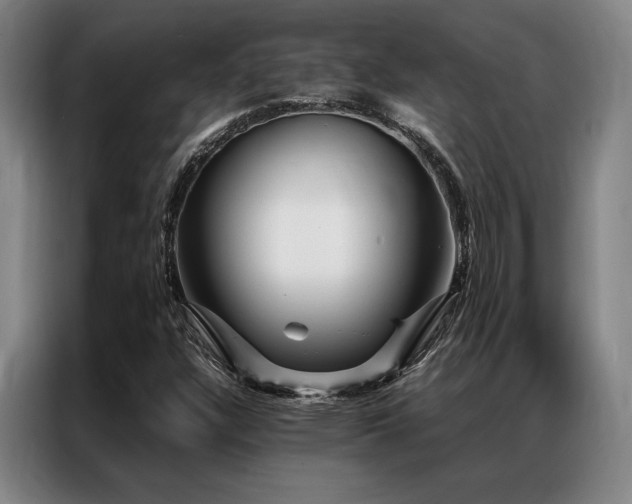 X0000087371304200704201221