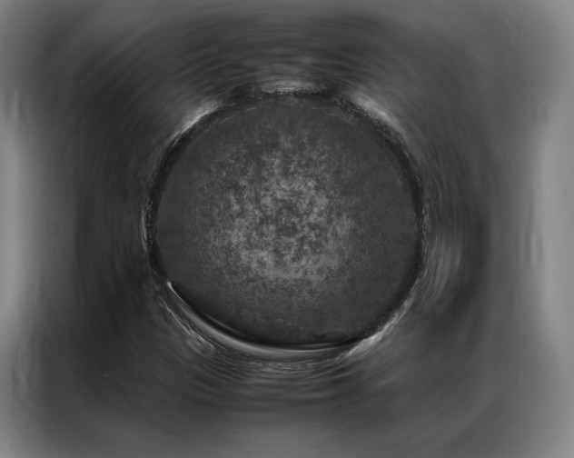 X0000087371305200704201221