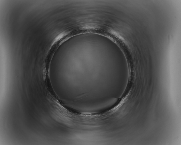 X0000087371306200704201221