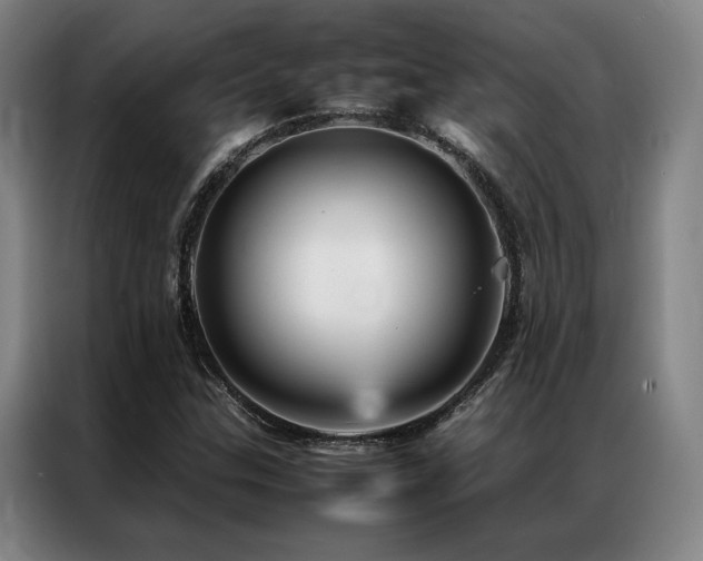 X0000087371307200704201221