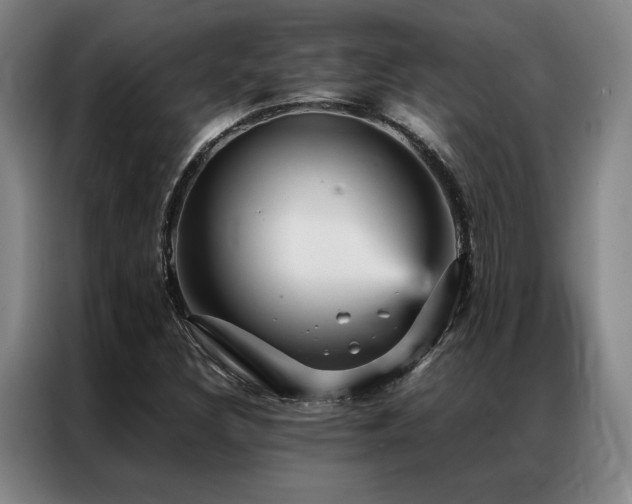 X0000087371308200704201221