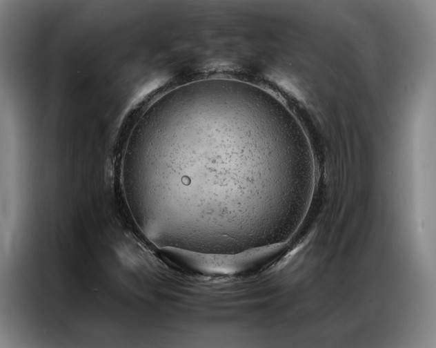 X0000087371309200704201221
