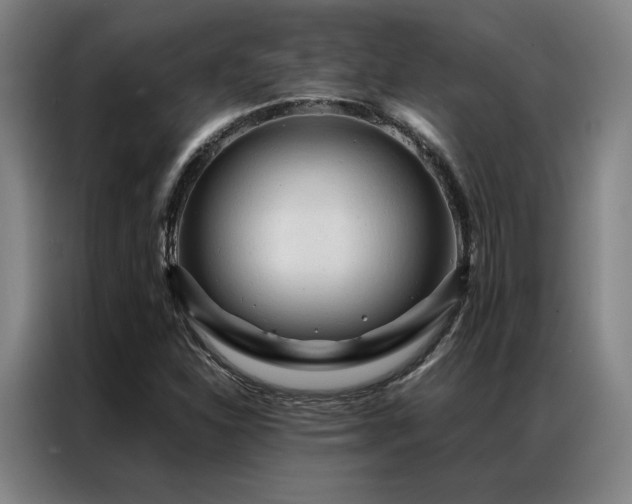 X0000087371310200704201221