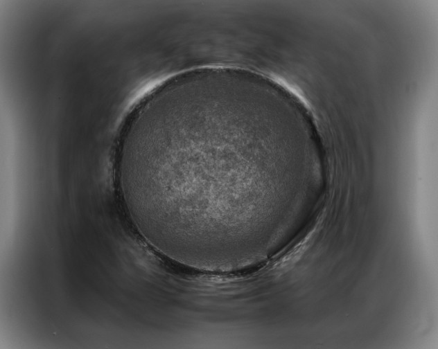 X0000087371311200704201221