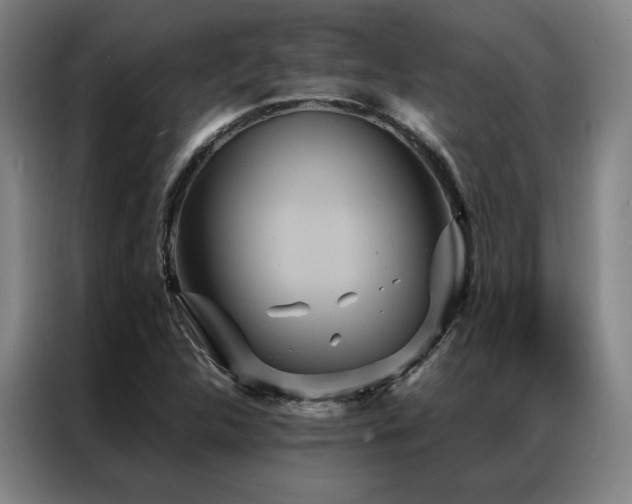 X0000087371312200704201221