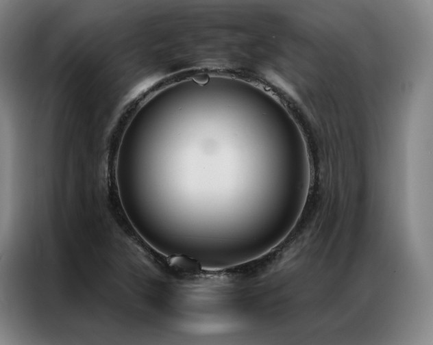X0000087371315200704201221