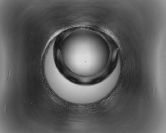 X0000087371316200704201221