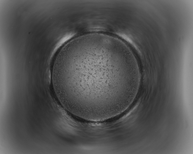 X0000087371317200704201221