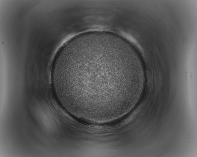 X0000087371318200704201221