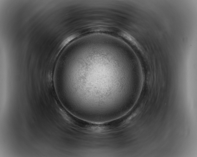 X0000087371321200704201221