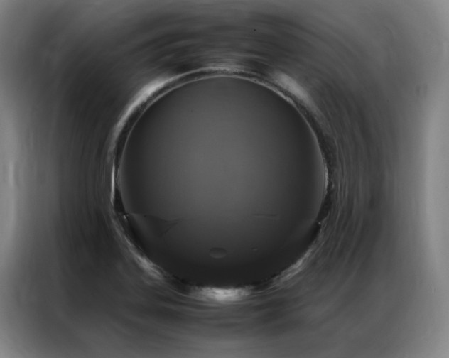 X0000087371323200704201221
