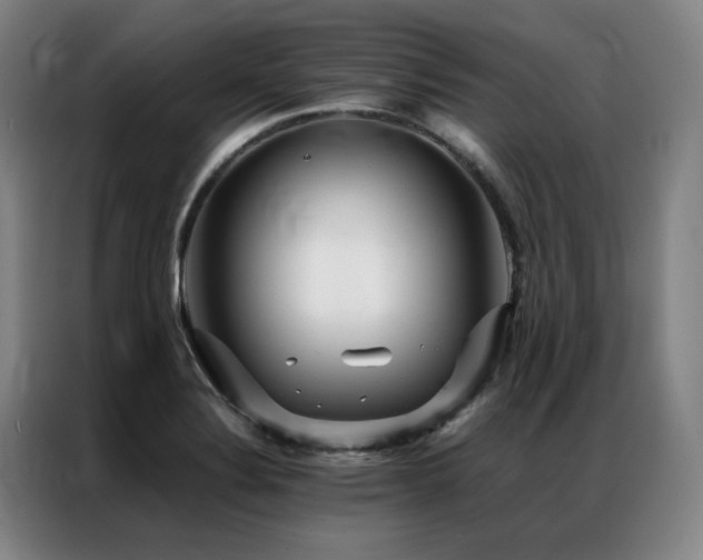 X0000087371324200704201221