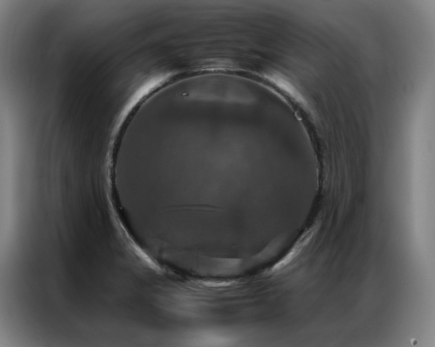 X0000087371325200704201221