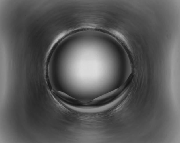 X0000087371326200704201221