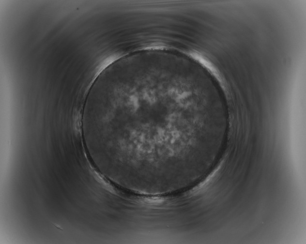 X0000087371329200704201221