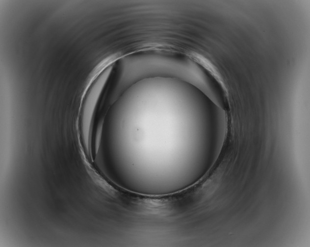 X0000087371330200704201221