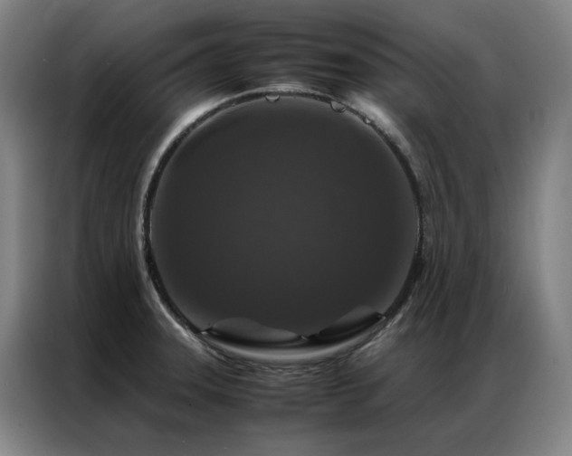 X0000087371331200704201221