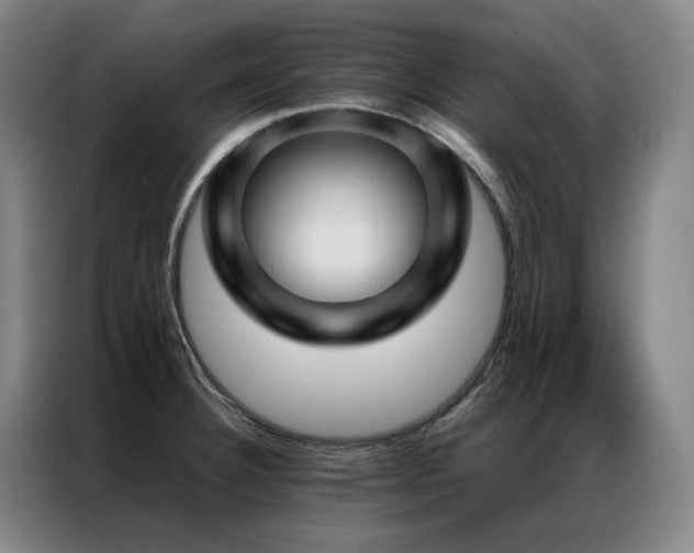 X0000087371332200704201221