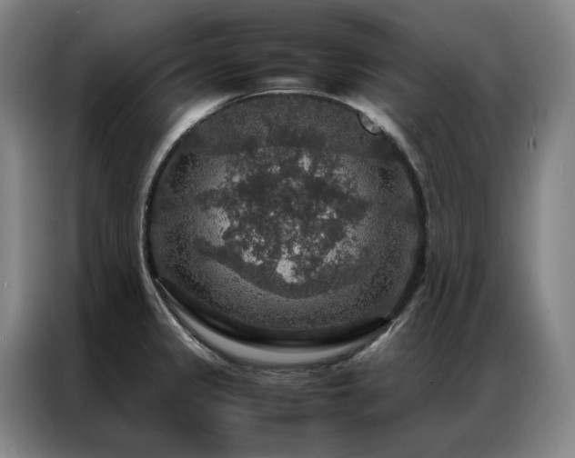 X0000087371333200704201221