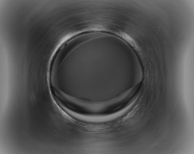 X0000087371334200704201221