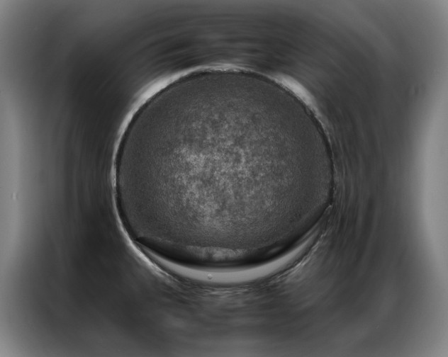 X0000087371335200704201221