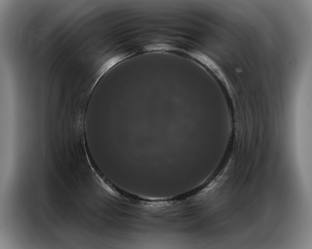 X0000087371337200704201221