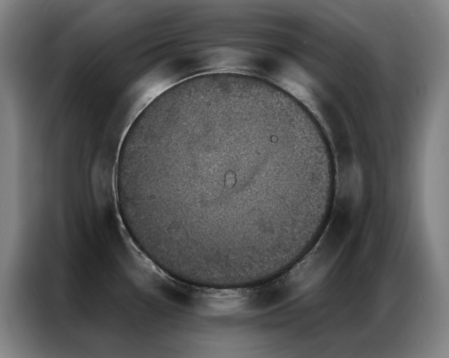 X0000087371338200704201221
