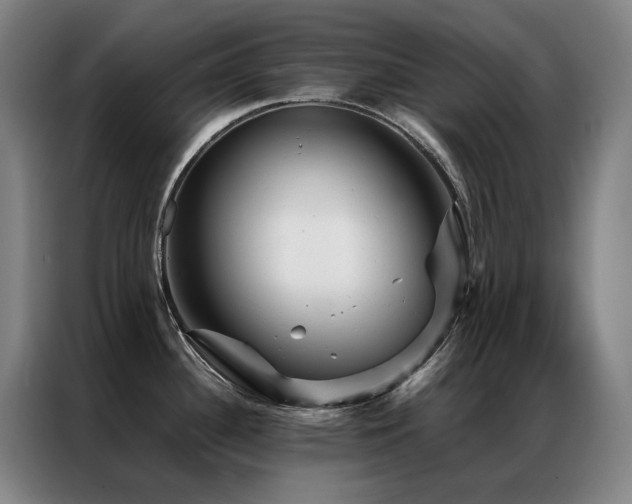 X0000087371340200704201221