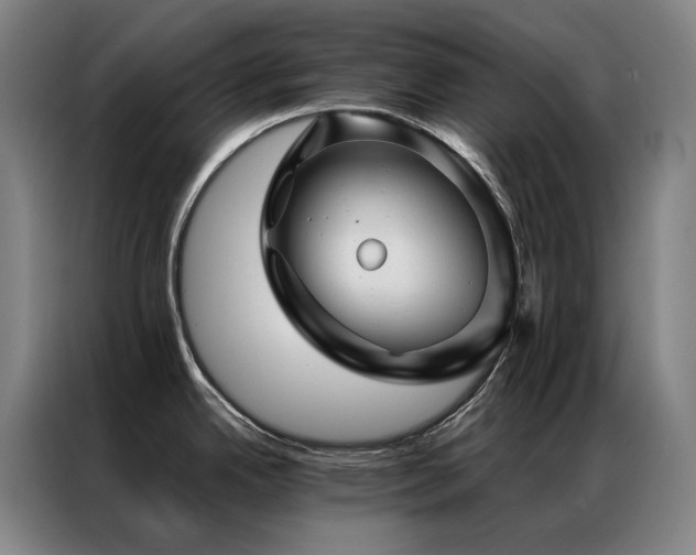 X0000087371342200704201221