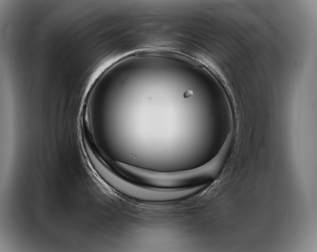 X0000087371344200704201221