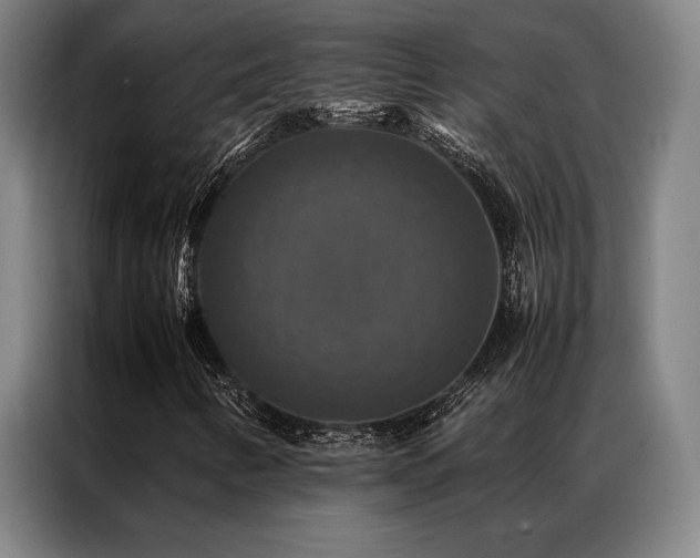 X0000087371346200704201220