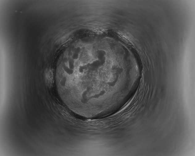 X0000087371347200704201220
