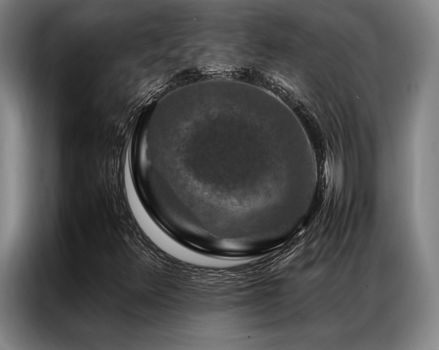X0000087371348200704201220