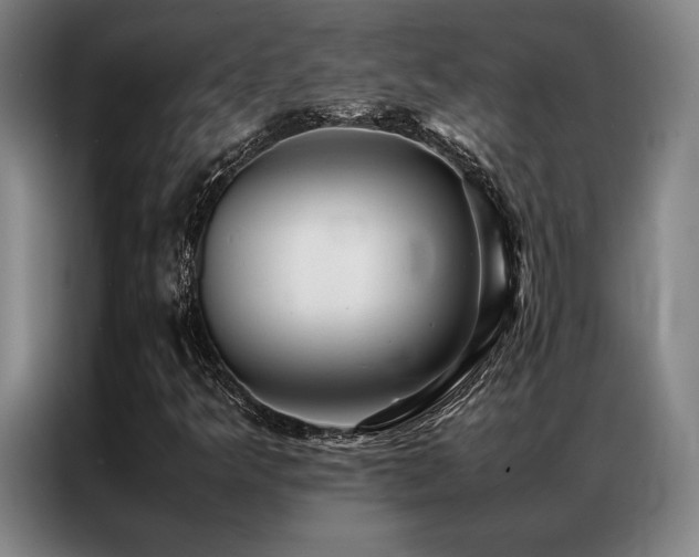 X0000087371349200704201220