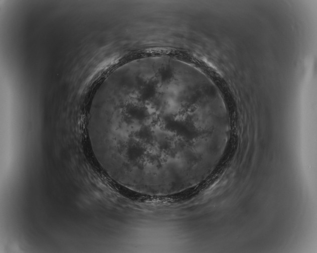 X0000087371351200704201220