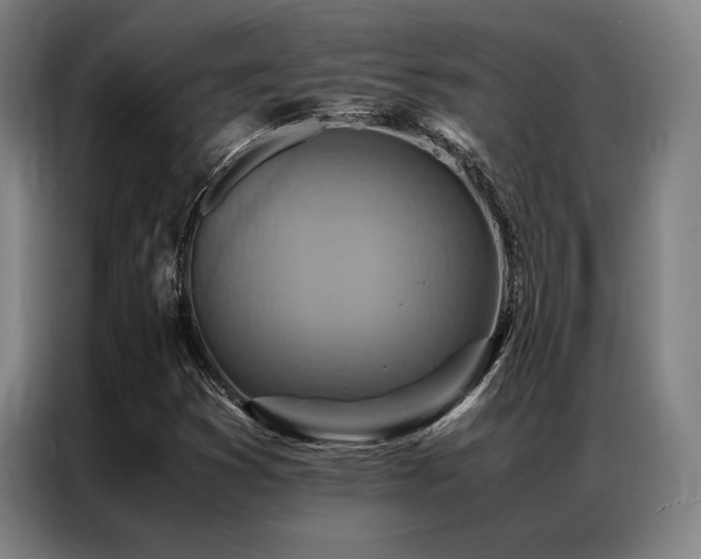 X0000087371353200704201220
