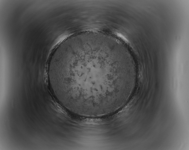 X0000087371354200704201220