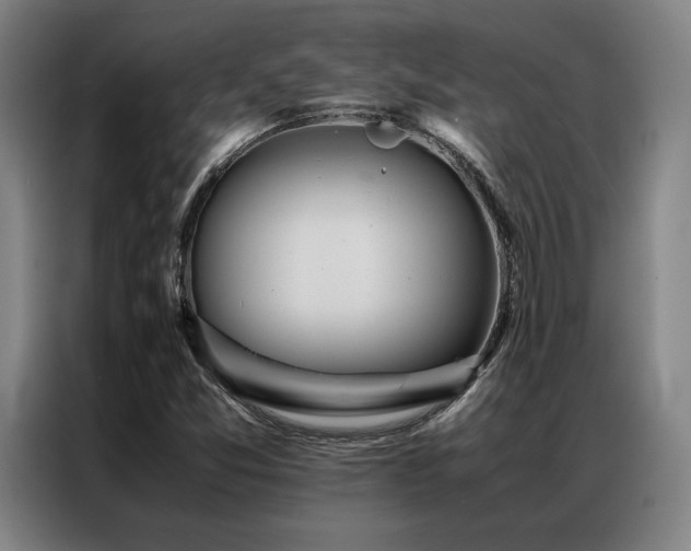 X0000087371357200704201220