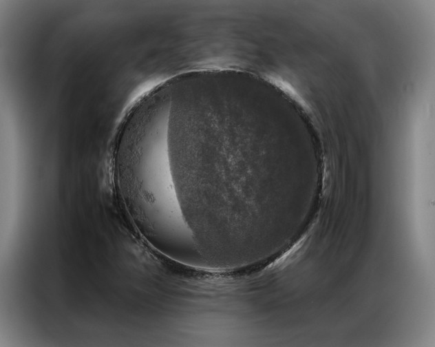 X0000087371358200704201220