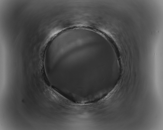 X0000087371359200704201220