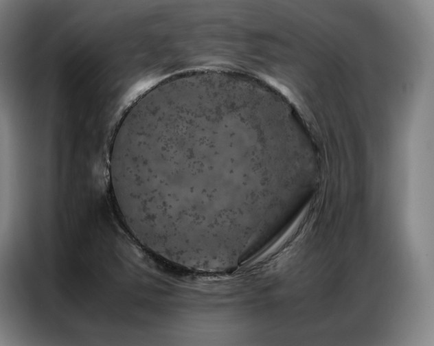 X0000087371363200704201220