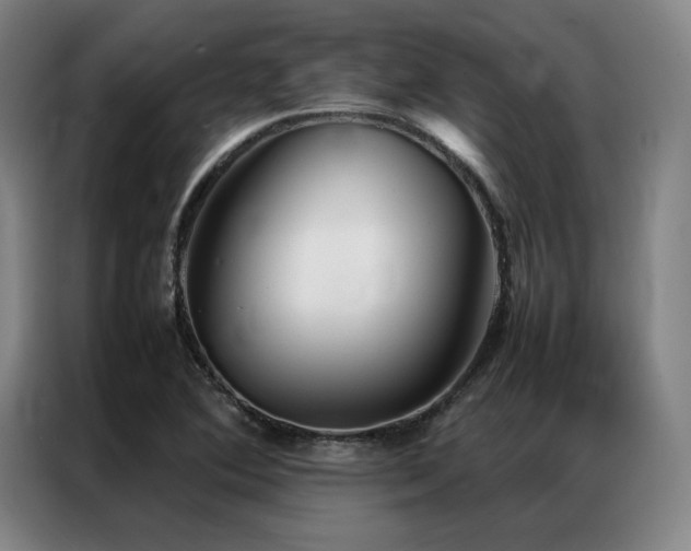 X0000087371364200704201220