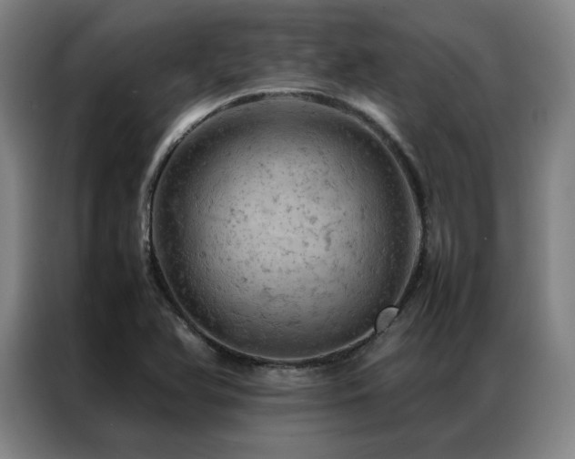 X0000087371366200704201220