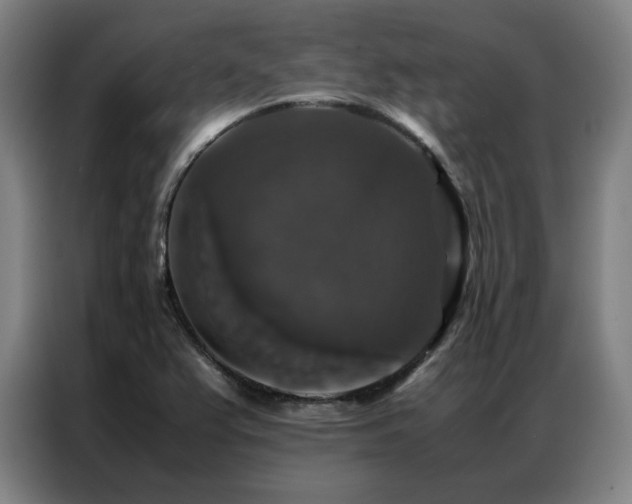 X0000087371367200704201220