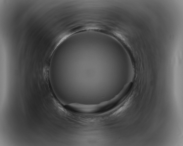 X0000087371369200704201220